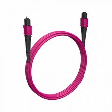 Кабельная сборка MPO(F) -MPO(M)-12 волокон 50/125 OM4, 2 m Cabeus (FOP-50-OM4-12-MPO(F)-12-MPO(M)-B-2m)