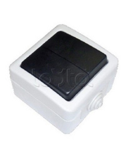 Экопласт EF602SA Переключатель 2-полюсный, двухклавишный с 2-х мест (сх.6+6) 10A (сер.) в Назрани Розетки компьютерные и телефонные Pintop.ru