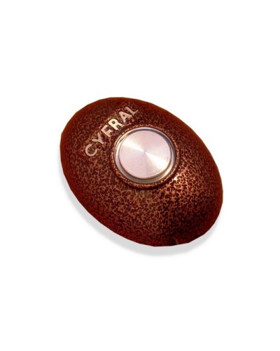 Кнопка открывания двери Цифрал КОДсП-4 в Назрани Многоабонентные устройства Pintop.ru