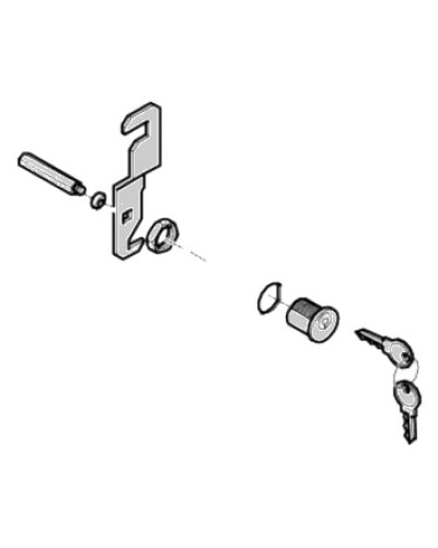 Замок дверцы G4040 G4041 Came 119RIG176 в Назрани Запчасти для шлагбаумов и автоматики Pintop.ru