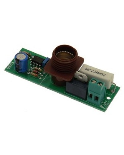 Плата лампы KIARO 24 Came 119RIR030 в Назрани Запчасти для шлагбаумов и автоматики Pintop.ru