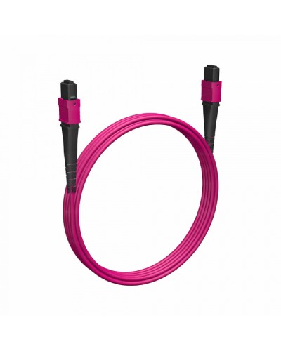 Кабельная сборка MPO(F)-MPO(F)-12 волокон 50/125 OM4, 3 m Cabeus (FOP-50-OM4-12-MPO(f)-12-MPO(f)-B-3m) в Назрани Кабельные сборки (оптические) Pintop.ru