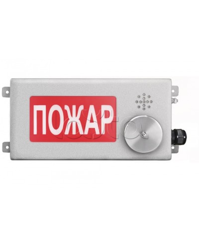 Табло светозвуковое взрывозащищенное Спектрон ТСЗВ-Exm-Н-Прометей-МИНИ 220В в Назрани Оповещатели Ex Pintop.ru