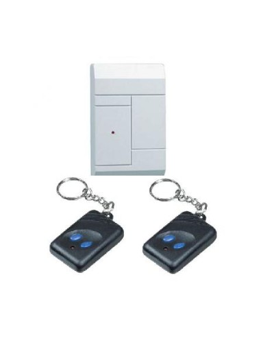 Комплект приёмник RR-1R + 2 брелока RFG-1 Альтоника Риф Ринг RR-1 в Назрани Радиоканальные системы безопасности Pintop.ru