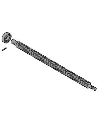 Винт ходовой AX302304, AX3024, АХ402306, AX412306 Came 119RID319 в Назрани Запчасти для шлагбаумов и автоматики Pintop.ru