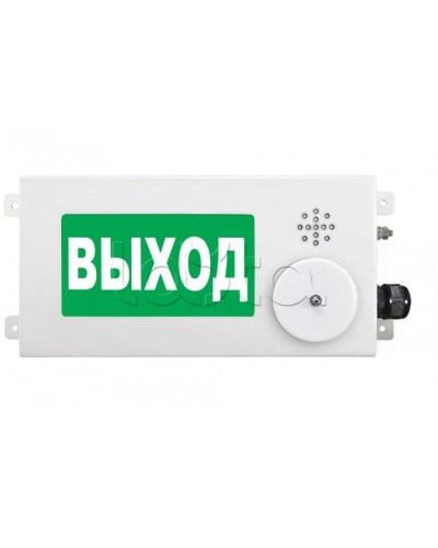 Табло световое взрывозащищенное Спектрон ТСВ-Exm-М-Прометей-МИНИ 220В в Назрани Оповещатели Ex Pintop.ru