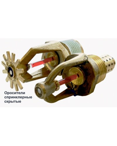 Ороситель спринклерный скрытый Спецавтоматика СВК0-РНо 0,42-R1/2/Р57.В3-SSP-К80  с резьб. герм. в Назрани Оросители Pintop.ru