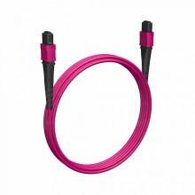 Кабельная сборка MPO(F) -MPO(F)-12 волокон 50/125 OM4, 2 m Cabeus (FOP-50-OM4-12-MPO(F)-12-MPO(F)-B-2m)