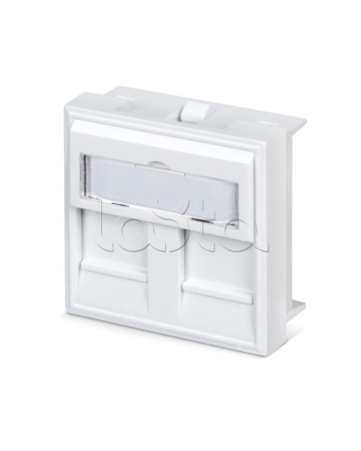 Вставка 45x45 (аналог Mosaic) для 2 модулей формата Keystone Jack Cabeus FP-45-2M в Назрани Модули Keystone Pintop.ru