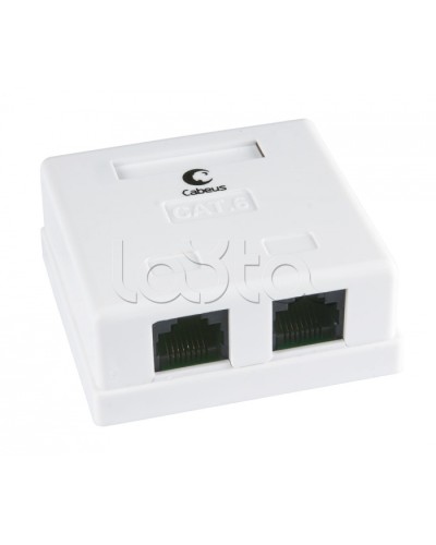 Розетка компьютерная RJ-45(8P8C), категория 6, двойная, внешняя, Krone type Cabeus WS-8P8C-Cat.6-2 в Назрани Розетки компьютерные и телефонные Pintop.ru