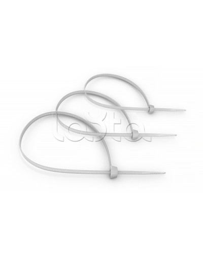 Стяжка нейлоновая неоткрывающаяся, безгалогенная (halogen free) 100x2.5мм, (100 шт) Cabeus CT-100 в Назрани Аксессуары для кабель-канала Pintop.ru