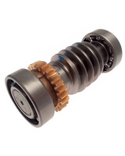 Червяк FROG Came 119RIA016 в Назрани Запчасти для шлагбаумов и автоматики Pintop.ru