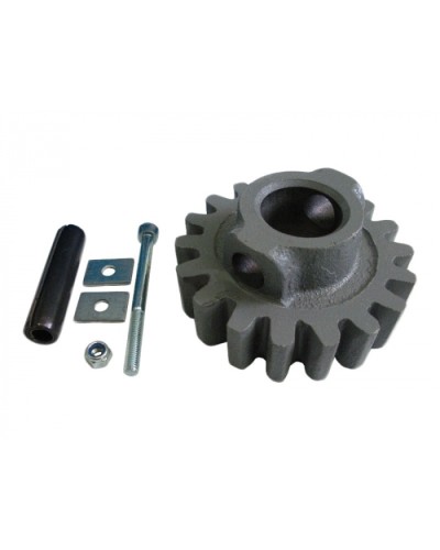 Шестерня ведущая ВК Came 119RIBK002 в Назрани Запчасти для шлагбаумов и автоматики Pintop.ru