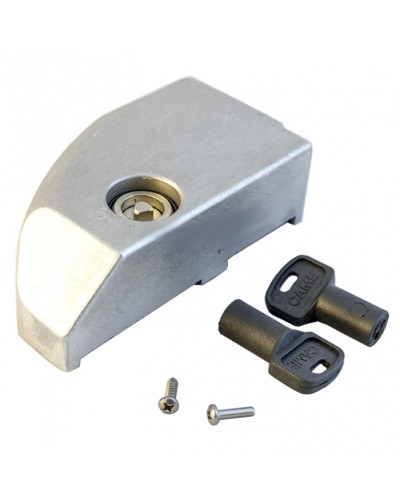 Дверца замка разблокировки BK Came 119RIBK012 в Назрани Запчасти для шлагбаумов и автоматики Pintop.ru