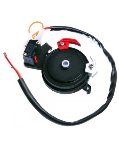 Концевые микровыключатели в сборе BX-243 Came 119RIBX041 в Назрани Запчасти для шлагбаумов и автоматики Pintop.ru