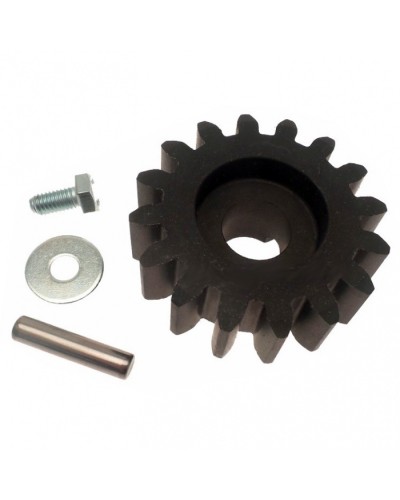 Шестерня ведущая BZ Came 119RIBZ005 в Назрани Запчасти для шлагбаумов и автоматики Pintop.ru