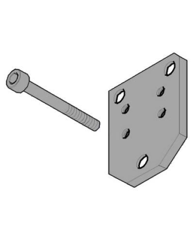 Пластина монтажная FLEX Came 119RID143 в Назрани Запчасти для шлагбаумов и автоматики Pintop.ru