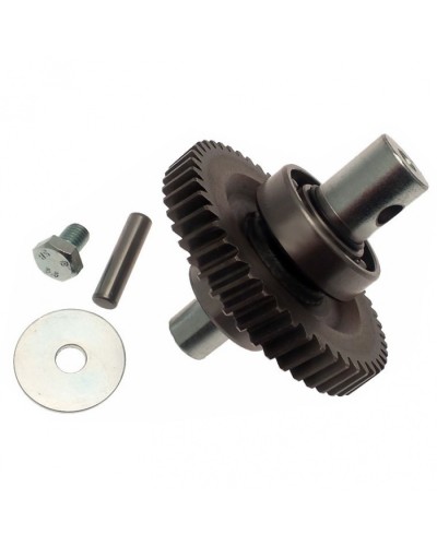 Шестерня редуктора FAST в сборе Came 119RID229 в Назрани Запчасти для шлагбаумов и автоматики Pintop.ru