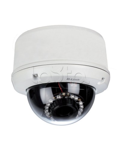 IP-камера видеонаблюдения уличная купольная D-Link DCS-6510/EP в Назрани IP-камеры Pintop.ru