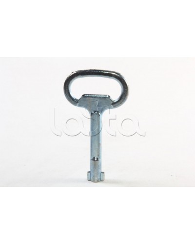 Металлический ключ с двойной бородкой 3мм DKC R5CE230 в Назрани Крепежные изделия Pintop.ru