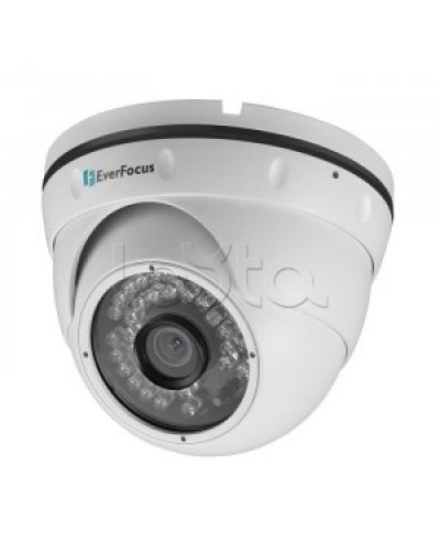 IP-камера видеонаблюдения купольная EverFocus ACE-IAV30 в Назрани IP-камеры Pintop.ru