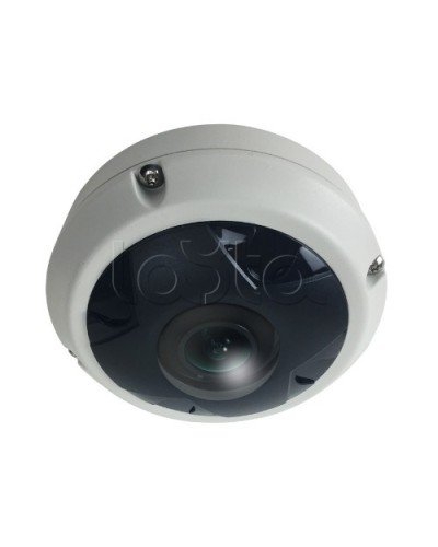 IP-камера видеонаблюдения купольная EverFocus ACE-KU89F в Назрани IP-камеры Pintop.ru