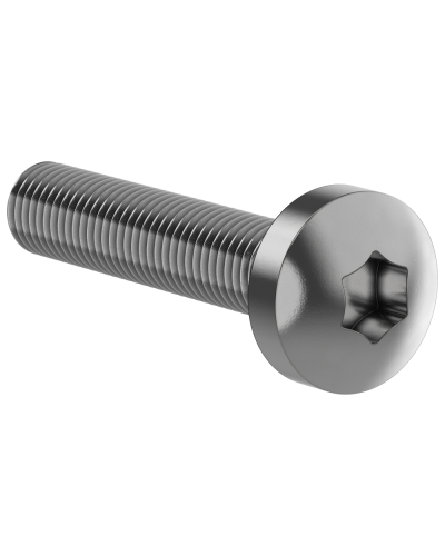 Винт М6х30 IEK (FO-00D-VTORX-M6X30-020) в Назрани Аксессуары для стоек и шкафов Pintop.ru