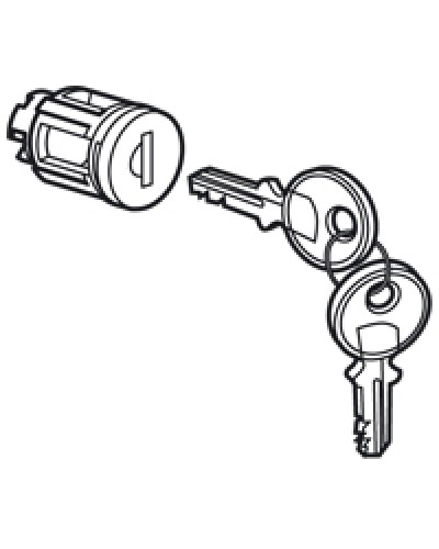 Цилиндр встроенный под ключ №405 Legrand 020291 в Назрани Дополнительное оборудование для сетей Pintop.ru