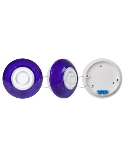 Оповещатель комбинированный SLT Марс 12-КП (строб, син) в Назрани Оповещатели Pintop.ru