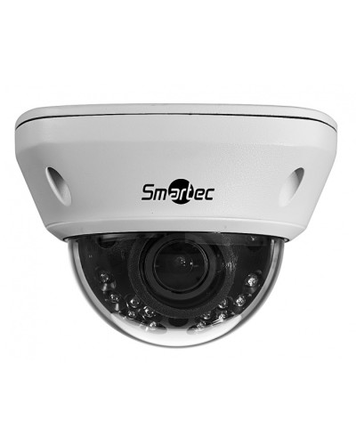 IP-камера видеонаблюдения купольная Smartec STC-IPM5591/1 в Назрани IP-камеры Pintop.ru