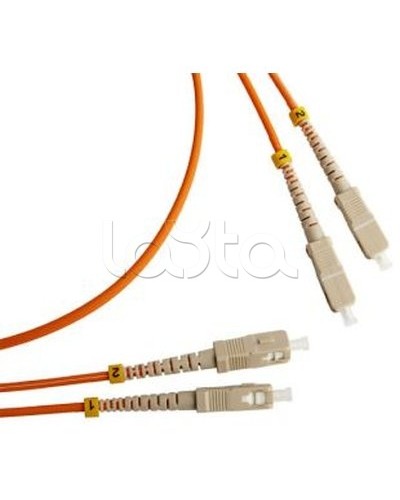 Патч-корд оптический TWT-2ST-2FC/SA-15 в Назрани Патч-корды оптические Pintop.ru