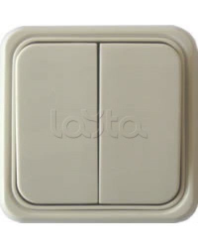 Выключатель двухклавишный открытой установки Экопласт, схема 5, (бежевый) в Назрани Розетки компьютерные и телефонные Pintop.ru