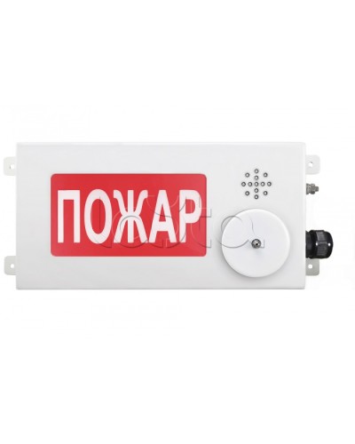 Табло светозвуковое взрывозащищенное Спектрон ТСЗВ-Exi-М-Прометей-МИНИ 12-36В в Назрани Оповещатели Ex Pintop.ru