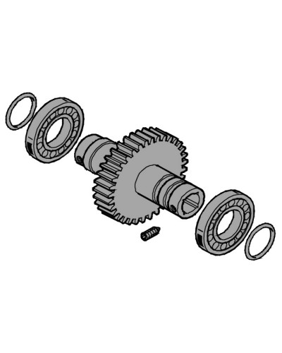 Вал выходной EMEGA Came 119RIE062 в Назрани Запчасти для шлагбаумов и автоматики Pintop.ru