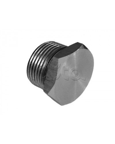 Металлическая резьбовая заглушка взрывозащищённая Магнито-контакт Ех-заглушка ВЗ 1 М Н (под Ø 20) 1Ex d IIС Gb/PB Ex d I Mb или Ex tb IIIС Db или 0Ex ia IIC Ga или 1Ex e IIС Gb в Назрани Дополнительное оборудование (Ex) Pintop.ru