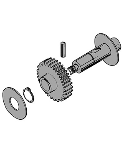 Вал в сборе C100 Came 119RIC011 в Назрани Запчасти для шлагбаумов и автоматики Pintop.ru