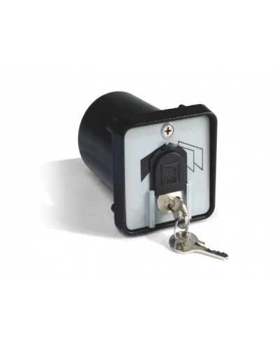 Ключ-выключатель с защитой цилиндра, встраиваемый Came 001SET-K в Назрани Запчасти для шлагбаумов и автоматики Pintop.ru